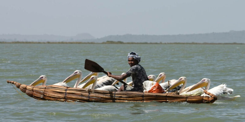 Lake Tana Bahir Dar, Äthiopien