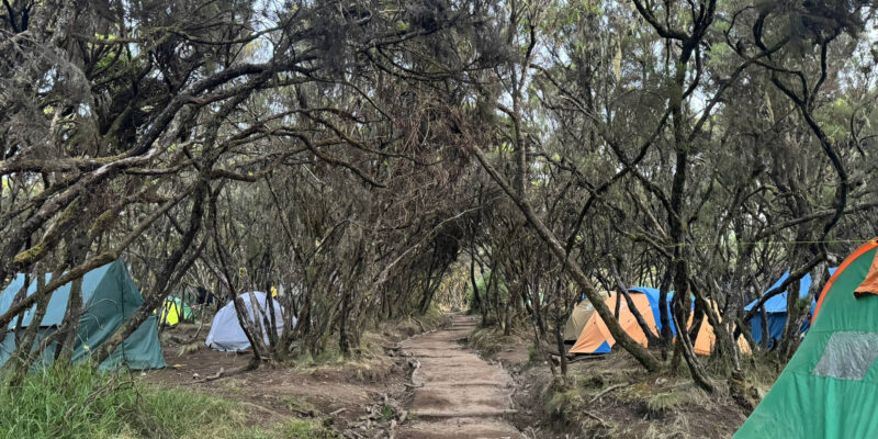 Tansania-Kilimanjaro
