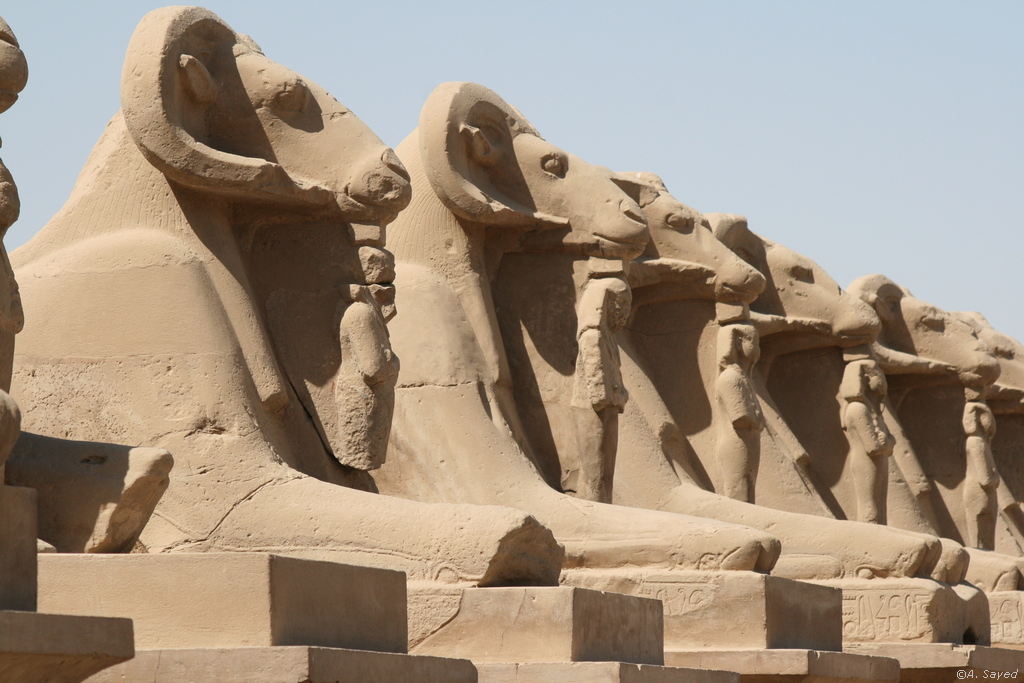 Sphinx-Allee am Karnak Tempel Luxor